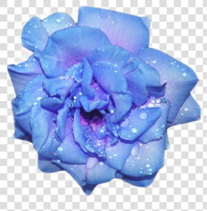  glitter  blue  blueaesthetic  flower  aesthetic  purple   Aesthetic Blue Flower Transparent  HD Png Download