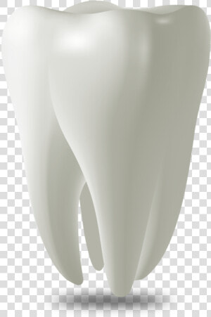 Tooth Model West Palm Beach  Fl   Wisdom Tooth Png  Transparent Png