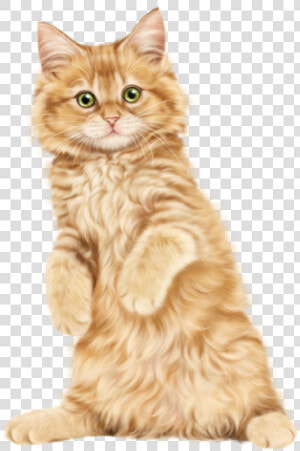 Kitten Cat Clip Art   Persian Kitten Hd Png  Transparent Png