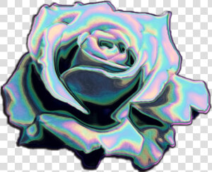  rose easter  holo  holographic  holo  iridescent  holographic   Blue Stickers Tumblr Png Roses  Transparent Png