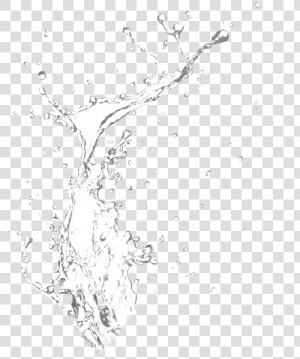 Water Of Drop Splash Png Download Free Clipart   Water Splash  Transparent Png