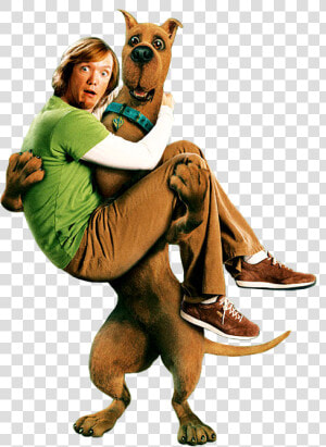 Transparent Scooby Doo Png   Scooby Doo Shaggy Movie  Png Download