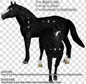 Stallion  HD Png Download