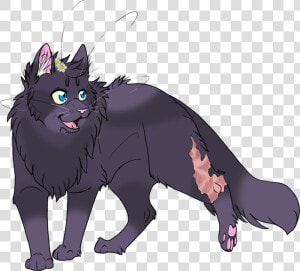 Png Version Of Warrior Cats   Warrior Cats In Black  Transparent Png