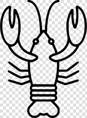 Lobster   White Lobster Png  Transparent Png