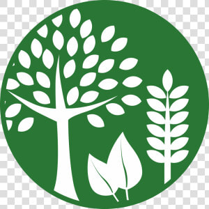 Agriculture Crops Icon Png  Transparent Png