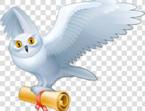 Hedwig Png  Transparent Png