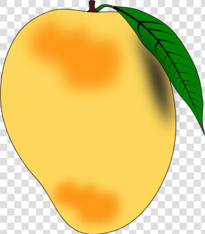 Mango Png   Png Download   Clipart Picture Of Mango  Transparent Png