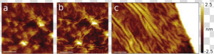 Rippling Of Graphene Induced By Stm Tip   Flame  HD Png Download