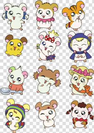 Hamtaro Ham Ham Girls  HD Png Download