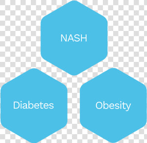 Nash Diabetes  HD Png Download