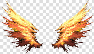 Fire Wings Red Orange Colorful Cute Badass Cool   Fire Wings Png  Transparent Png