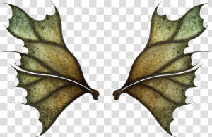 Realistic Fairy Wings Png   Png Download   Dark Fairy Wings Png  Transparent Png