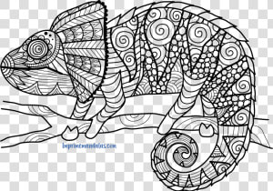 Mandala De Conejo U2022 Imprime Mandalas   Chameleon Zentangle  HD Png Download