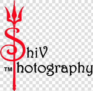 Professional Photography Png Format Photography Logo  Transparent Png