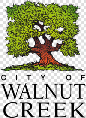 Rethinking Mobility Walnut Creek   City Of Walnut Creek Logo  HD Png Download