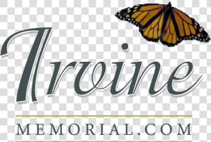 Irvine Funeral Home And Chapel   Monarch Butterfly  HD Png Download