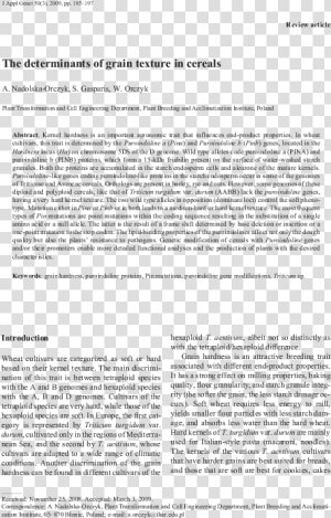 Essay  HD Png Download