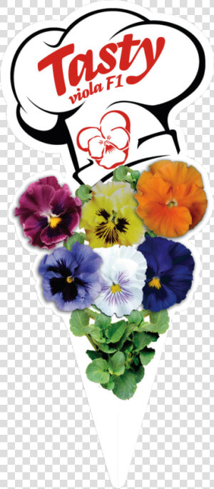 Click To Enlarge Image 5 V Copyright Marda   Pansy  HD Png Download