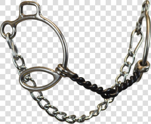 Stainless Steel 66 Cheeks Gag With Sweet Iron Twisted   Chain  HD Png Download