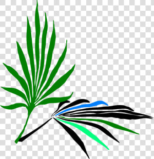 Leaves Clip Art At   Palm Frond Clip Art  HD Png Download