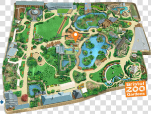 Bristol Zoo Gardens Map   Bristol Zoo Lion Enclosure  HD Png Download