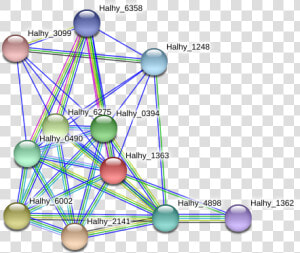 Halhy 1363 Protein   Circle  HD Png Download