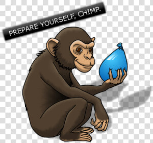 Common Chimpanzee  HD Png Download