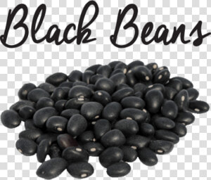 Png Black Beans   Black Beans In Urdu  Transparent Png