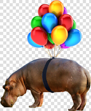  hippo  nobackground  png  balloon  Transparent Png