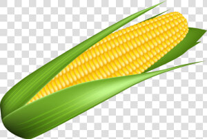 Corn Transparent Image   Transparent Background Corn Clipart  HD Png Download