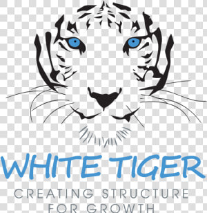 White Tiger   Christmas White Tiger  HD Png Download