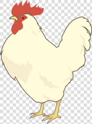 Transparent Hen Png   White Leghorn Clipart  Png Download