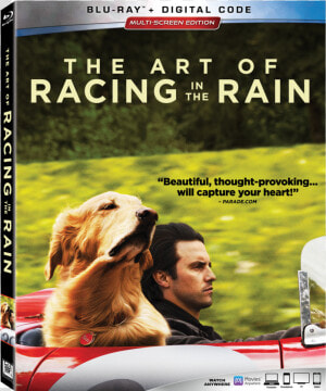 Art Of Racing In The Rain Bluray  HD Png Download