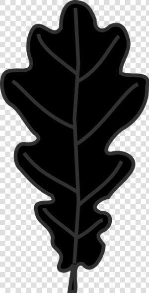 Leaf Clipart Oak Tree   Dessin Feuille De Chene Noir  HD Png Download