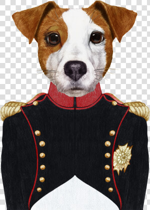 Cow In Military Uniform  HD Png Download