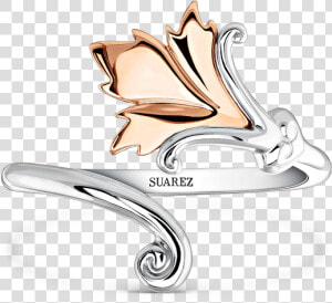 Joyas De La Colección Lady Cotton De Suárez   Titanium Ring  HD Png Download