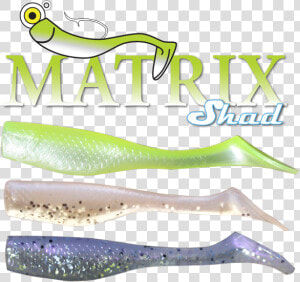 Matrix Shad  HD Png Download