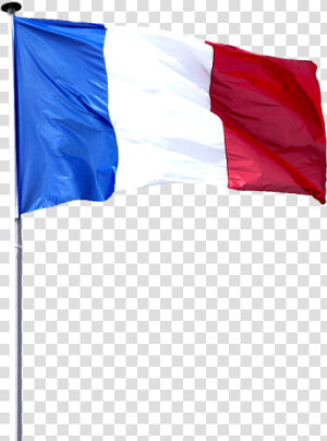 France Flag Transparent Background   French Flag No Background  HD Png Download