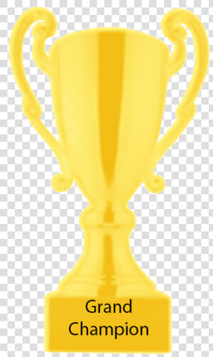 Grand Champion Champion Trophy  HD Png Download