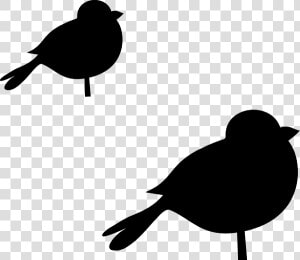 Transparent Chubby Clipart   Bird  HD Png Download