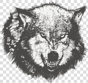 Sketch Painted Dog Vector Wolf Black Drawing Clipart   Wolf Angry Face Vector  HD Png Download