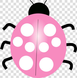 Transparent Ladybug Clipart Png   Blue Ladybug Clipart  Png Download