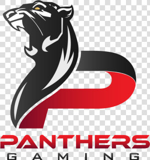 Pubg Esports Wiki   Panthers Gaming Logo Png  Transparent Png