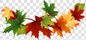 Transparent Fall Clipart Transparent   Fall Leaves Clip Art Transparent Background  HD Png Download