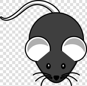 Mouse  Black  Mammal  Rodent  Whiskers  Ears  Tail   Mouse Clip Art  HD Png Download