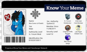 Know Your Meme Dnb Name Blue Screen System32 Sex Male   Identification Card Blank Hd  HD Png Download