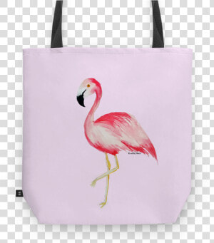 Bolsa Flamingo De Renata Torresna   Flamingo Aesthetic Drawing  HD Png Download