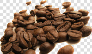 Transparent Coffee Bean Png   Coffee Bean  Png Download