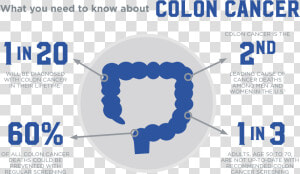 Colon Cancer Infographic  HD Png Download